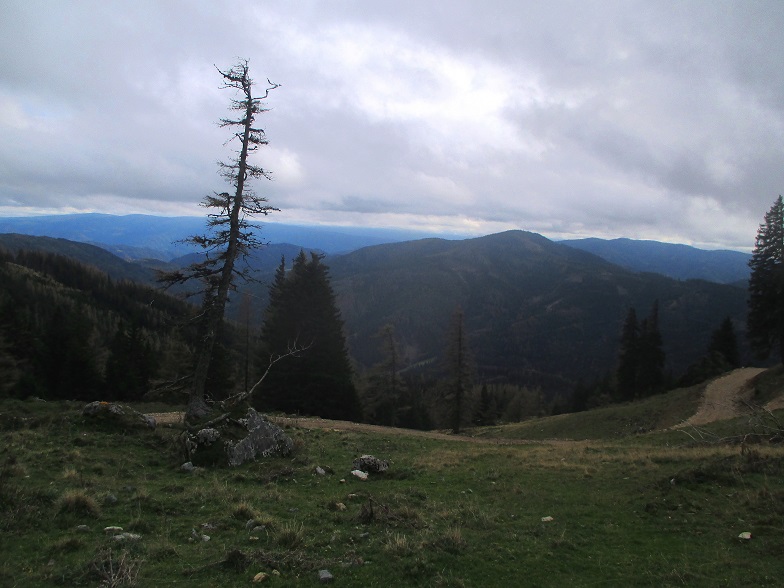 Foto: Andreas Koller / Klettertour / Predigtstuhlsteig auf die Veitsch (1788m) / 15.05.2025 00:42:49