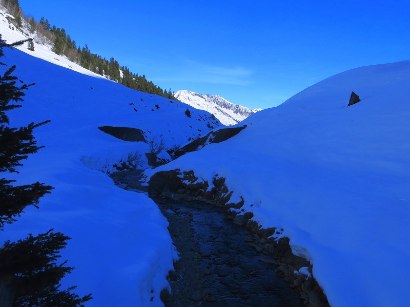 Foto: Andreas Koller / Skitour / Über die Viertelalmen zum Marchkopf (2499m) / 17.05.2025 19:22:26