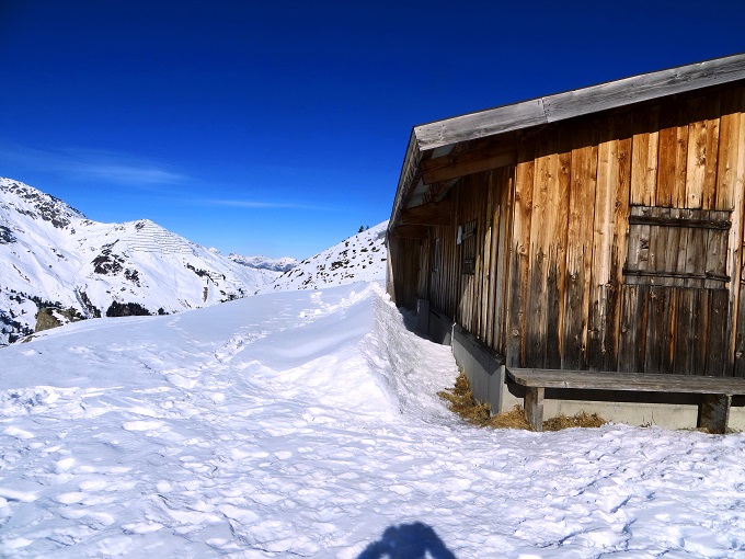 Foto: Andreas Koller / Skitour / Über die Viertelalmen zum Marchkopf (2499m) / Viertelalm-Hochleger / 17.05.2025 19:20:00