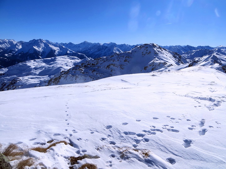 Foto: Andreas Koller / Skitour / Über die Viertelalmen zum Marchkopf (2499m) / 17.05.2025 19:17:20