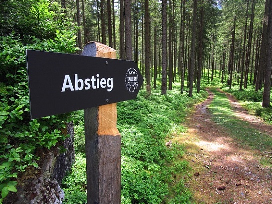 Foto: Andreas Koller / Klettersteigtour / Blausee Klettersteig (1015m) / 19.05.2025 23:11:20