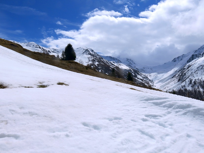 Foto: Andreas Koller / Skitour / Frühjahrstour Tscheyegg (2667m) / 29.05.2025 01:05:09