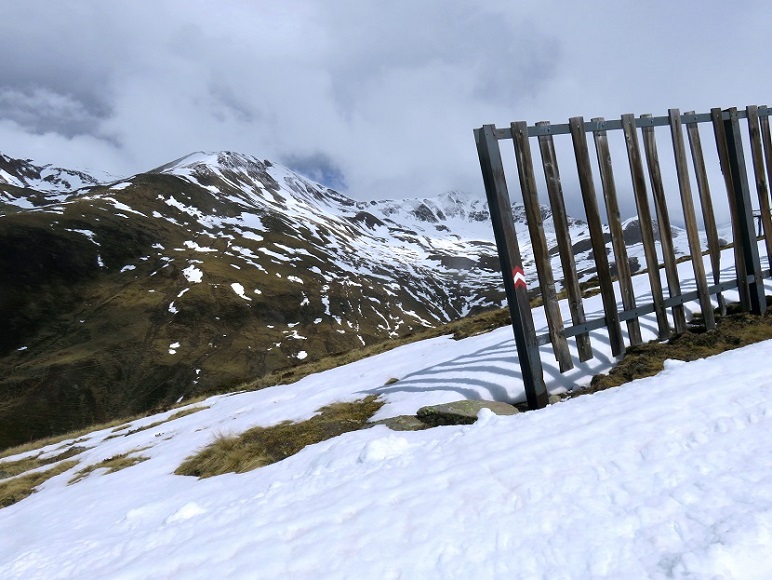 Foto: Andreas Koller / Skitour / Frühjahrstour Tscheyegg (2667m) / 29.05.2025 01:04:50