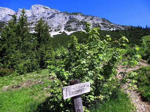 Foto: Andreas Koller / Klettersteigtour / Felix Kuen Klettersteig auf den Hundskof (2243m) / 04.06.2025 01:19:27