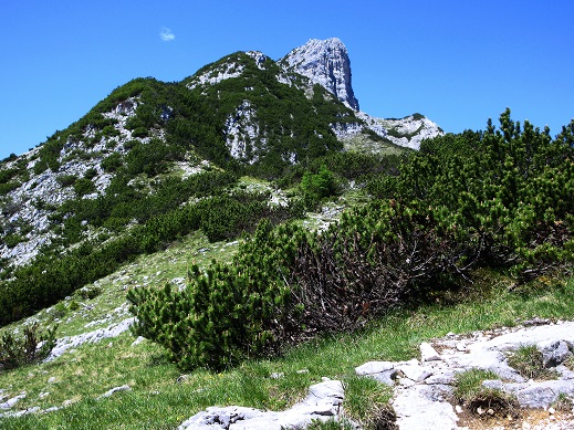 Foto: Andreas Koller / Klettersteigtour / Felix Kuen Klettersteig auf den Hundskof (2243m) / 04.06.2025 01:17:00