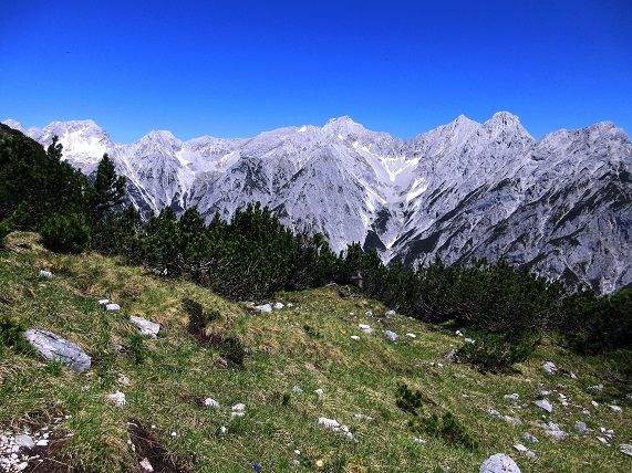 Foto: Andreas Koller / Klettersteigtour / Felix Kuen Klettersteig auf den Hundskof (2243m) / 04.06.2025 01:16:52