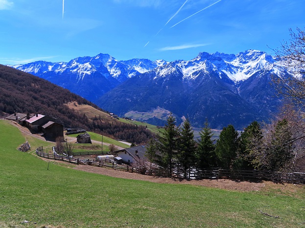 Foto: Andreas Koller / Wandertour / Kammtour zum Schwarzen Knott (2811m) / 15.06.2025 16:46:07