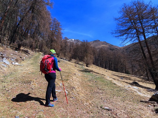 Foto: Andreas Koller / Wandertour / Kammtour zum Schwarzen Knott (2811m) / 15.06.2025 16:45:45