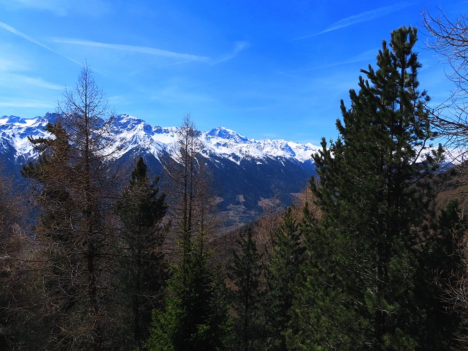 Foto: Andreas Koller / Wandertour / Kammtour zum Schwarzen Knott (2811m) / 15.06.2025 16:45:40