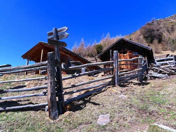 Foto: Andreas Koller / Wandertour / Kammtour zum Schwarzen Knott (2811m) / Bergeralpe / 15.06.2025 16:45:23