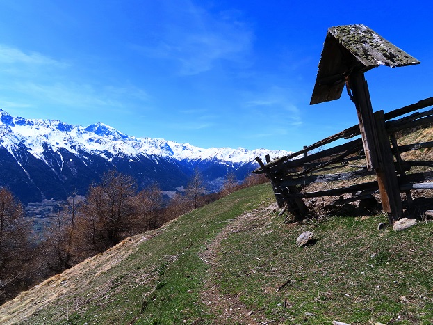 Foto: Andreas Koller / Wandertour / Kammtour zum Schwarzen Knott (2811m) / 15.06.2025 16:45:12