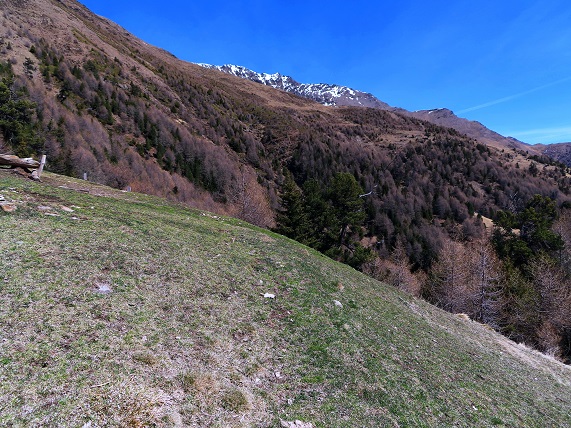 Foto: Andreas Koller / Wandertour / Kammtour zum Schwarzen Knott (2811m) / 15.06.2025 16:45:07