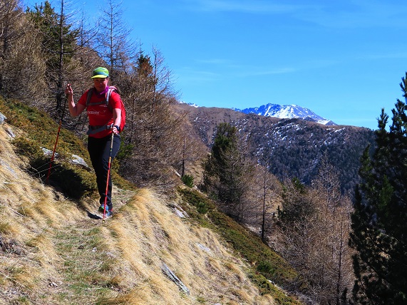 Foto: Andreas Koller / Wandertour / Kammtour zum Schwarzen Knott (2811m) / 15.06.2025 16:44:54