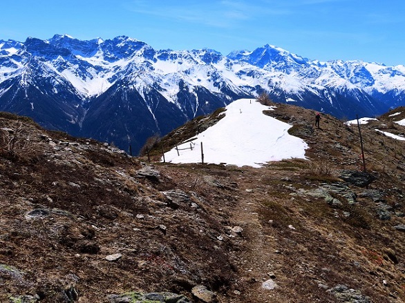 Foto: Andreas Koller / Wandertour / Kammtour zum Schwarzen Knott (2811m) / 15.06.2025 16:44:07