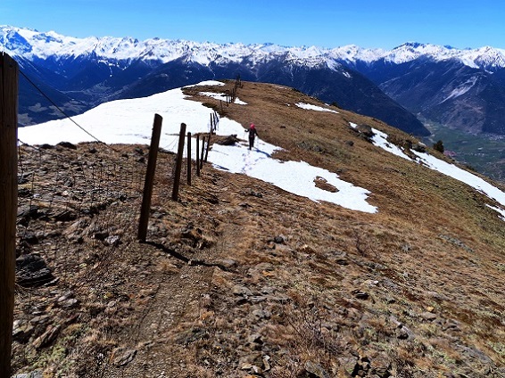 Foto: Andreas Koller / Wandertour / Kammtour zum Schwarzen Knott (2811m) / 15.06.2025 16:43:57