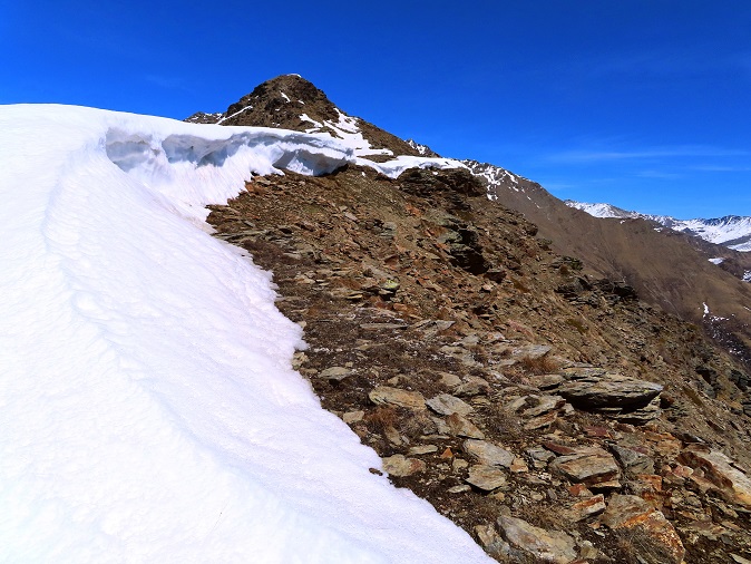 Foto: Andreas Koller / Wandertour / Kammtour zum Schwarzen Knott (2811m) / 15.06.2025 16:43:16