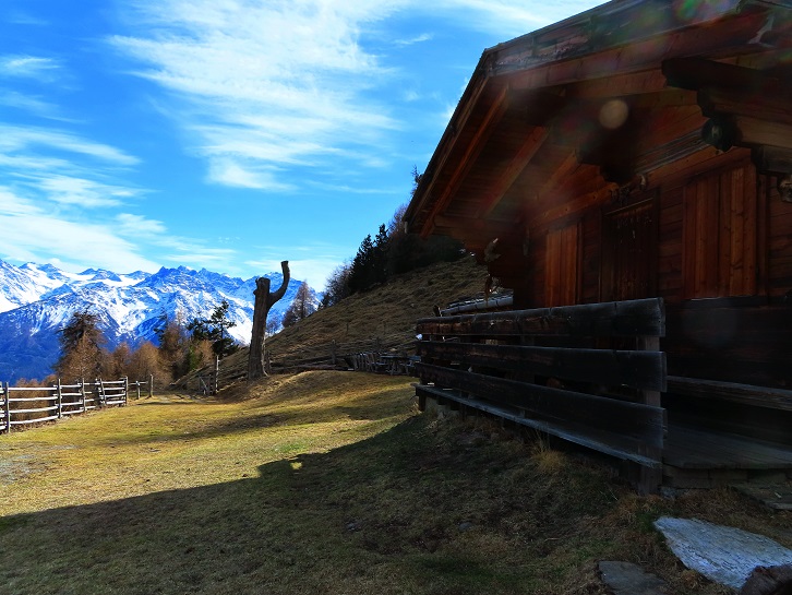 Foto: Andreas Koller / Wandertour / Kammtour zum Schwarzen Knott (2811m) / 15.06.2025 16:40:11