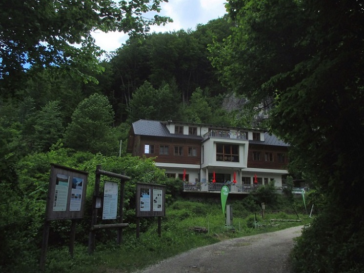 Foto: Andreas Koller / Klettersteigtour / Rottensteiner Klettersteig beim Weichtalhaus (547m) / Weichtalhaus / 19.06.2025 15:16:51