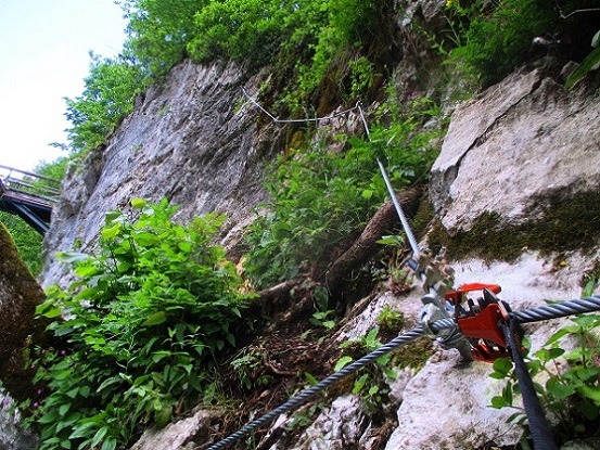Foto: Andreas Koller / Klettersteigtour / Rottensteiner Klettersteig beim Weichtalhaus (547m) / Nach oben in die schwierige Variante / 19.06.2025 15:16:00