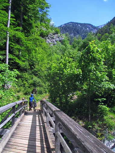 Foto: Andreas Koller / Klettersteigtour / Rottensteiner Klettersteig beim Weichtalhaus (547m) / Fußgängerbrücke über die Schwarza / 19.06.2025 15:14:42