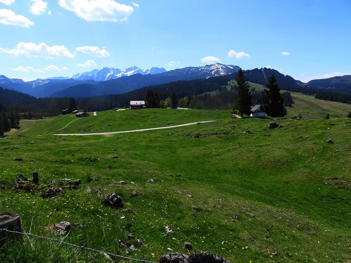 Foto: Andreas Koller / Wandertour / Winklmoosalm Spaziergang (1610m) / Auf der Winklmooslam wird gestartet / 21.06.2025 15:47:19