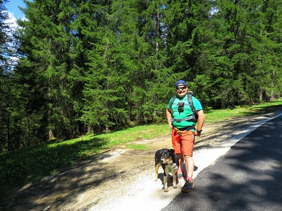 Foto: Andreas Koller / Wandertour / Winklmoosalm Spaziergang (1610m) / 21.06.2025 15:46:59