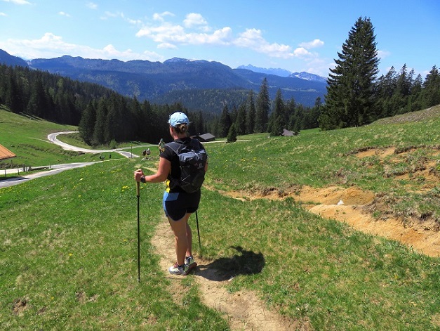 Foto: Andreas Koller / Wandertour / Winklmoosalm Spaziergang (1610m) / 21.06.2025 15:46:53