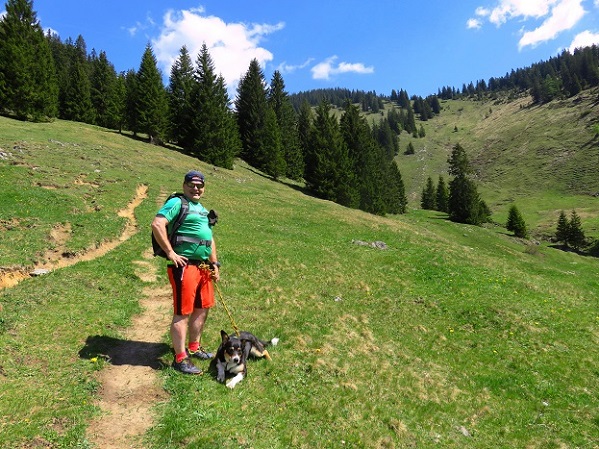 Foto: Andreas Koller / Wandertour / Winklmoosalm Spaziergang (1610m) / 21.06.2025 15:46:48