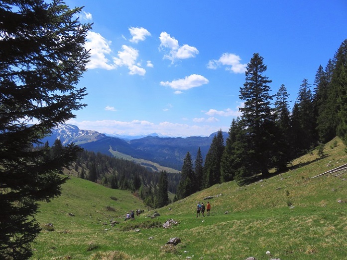 Foto: Andreas Koller / Wandertour / Winklmoosalm Spaziergang (1610m) / 21.06.2025 15:46:38