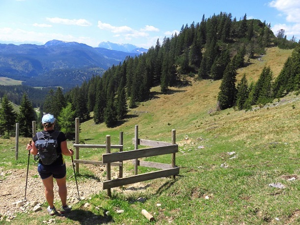 Foto: Andreas Koller / Wandertour / Winklmoosalm Spaziergang (1610m) / 21.06.2025 15:46:32