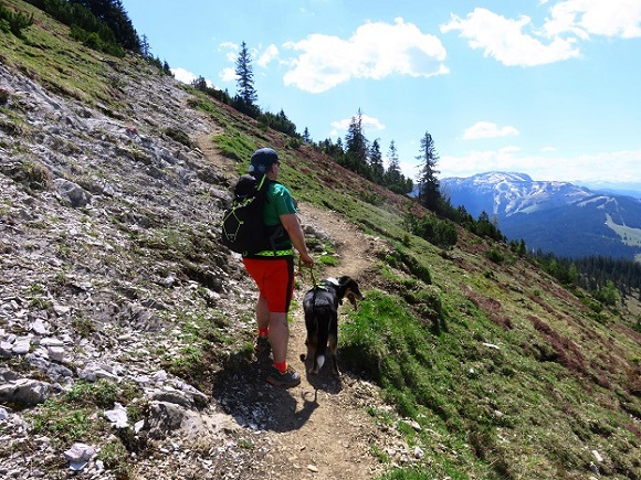 Foto: Andreas Koller / Wandertour / Winklmoosalm Spaziergang (1610m) / 21.06.2025 15:46:26