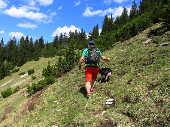 Foto: Andreas Koller / Wandertour / Winklmoosalm Spaziergang (1610m) / Querung zur Lembergschneid / 21.06.2025 15:46:20
