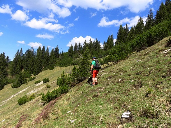Foto: Andreas Koller / Wandertour / Winklmoosalm Spaziergang (1610m) / 21.06.2025 15:46:04