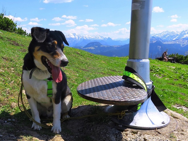 Foto: Andreas Koller / Wandertour / Winklmoosalm Spaziergang (1610m) / Am Dürrnbacheck mit Aussicht / 21.06.2025 15:48:34