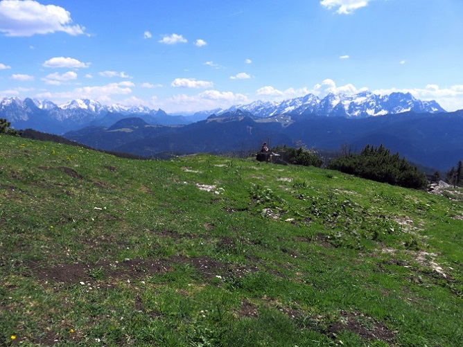 Foto: Andreas Koller / Wandertour / Winklmoosalm Spaziergang (1610m) / 21.06.2025 15:43:58