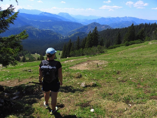 Foto: Andreas Koller / Wandertour / Winklmoosalm Spaziergang (1610m) / Abstieg vom Dürrnbacheck / 21.06.2025 15:43:33