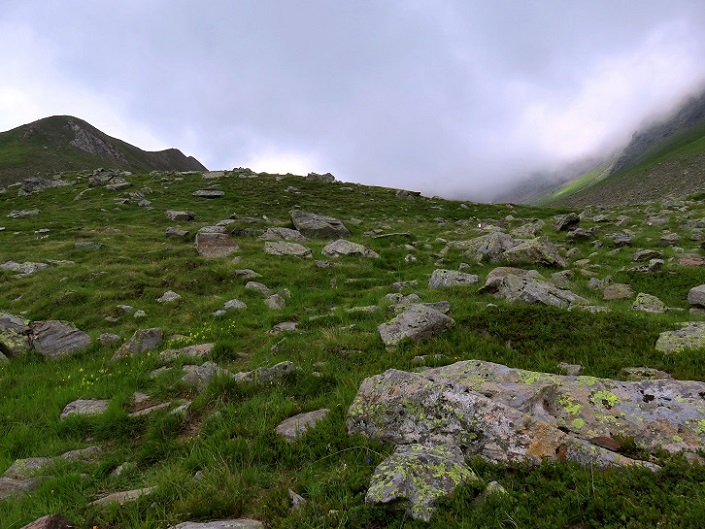 Foto: Andreas Koller / Wandertour / Königskogel (3050m) / 23.06.2025 00:04:46