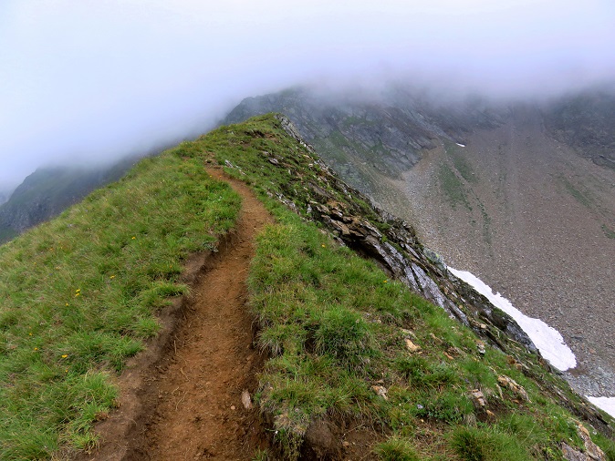 Foto: Andreas Koller / Wandertour / Königskogel (3050m) / 23.06.2025 00:04:20