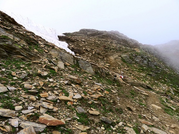 Foto: Andreas Koller / Wandertour / Königskogel (3050m) / Ankunft am Königsjoch / 23.06.2025 00:03:44