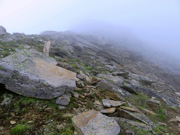 Foto: Andreas Koller / Wandertour / Königskogel (3050m) / 23.06.2025 00:01:58