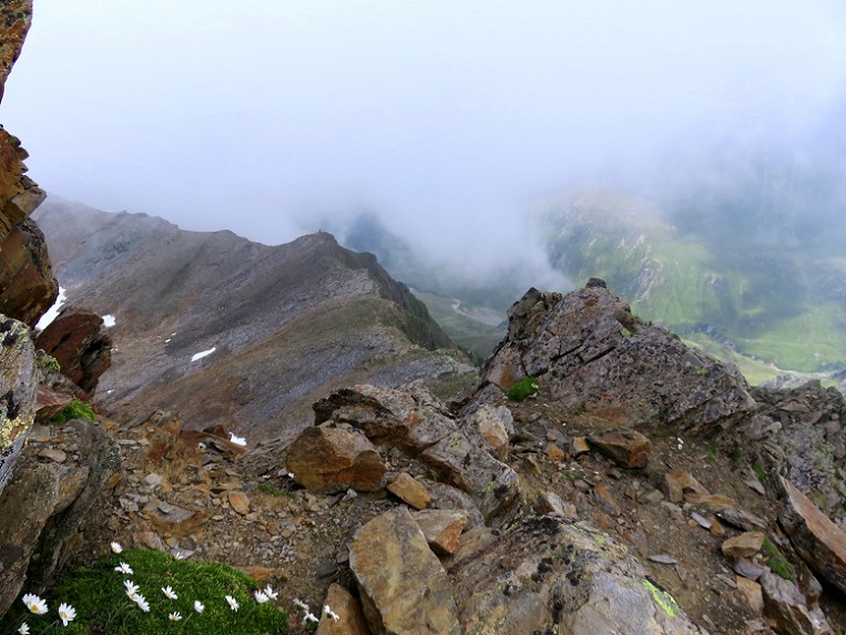 Foto: Andreas Koller / Wandertour / Königskogel (3050m) / 23.06.2025 00:01:17