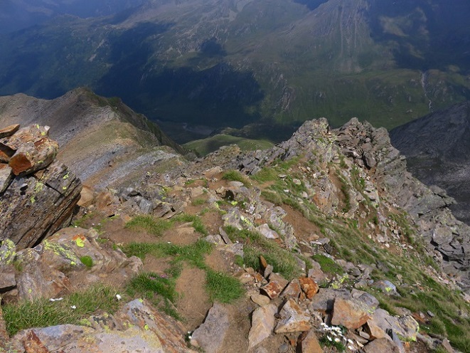 Foto: Andreas Koller / Wandertour / Königskogel (3050m) / 22.06.2025 23:59:08