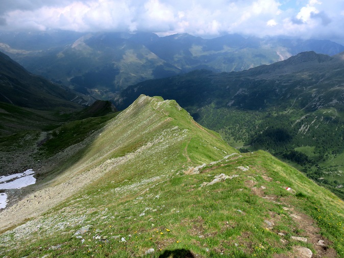 Foto: Andreas Koller / Wandertour / Königskogel (3050m) / 22.06.2025 23:55:22