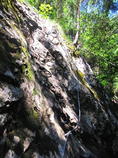 Foto: Andreas Koller / Klettersteigtour / Klettersteig Allmenalp - Kandersteg (1725m) / Einstieg bei einem unspektakulären Block im Wald / 25.06.2025 17:52:52