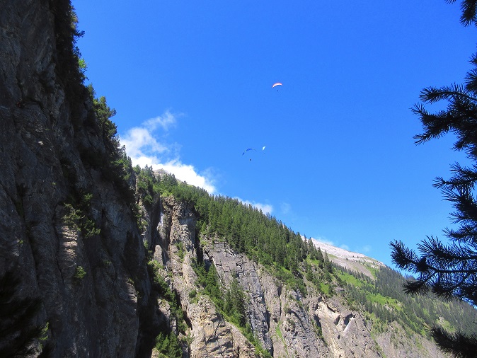 Foto: Andreas Koller / Klettersteigtour / Klettersteig Allmenalp - Kandersteg (1725m) / 25.06.2025 17:49:12