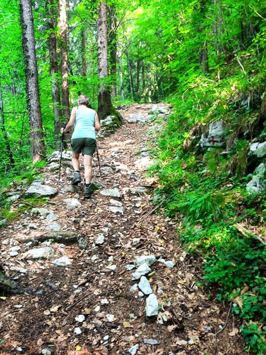 Foto: Wolfgang Lauschensky / Wandertour / Cima San Giorgio - Cima Palone - Tre Sorelle Runde / Ziehweg / 08.07.2025 15:56:11