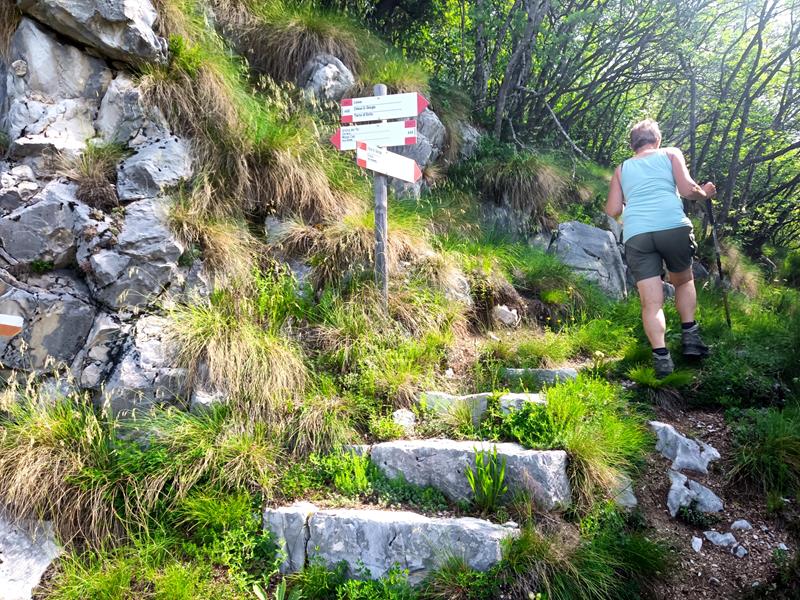 Foto: Wolfgang Lauschensky / Wandertour / Cima San Giorgio - Cima Palone - Tre Sorelle Runde / Abzweig zur Cima San Giorgio / 08.07.2025 15:56:05