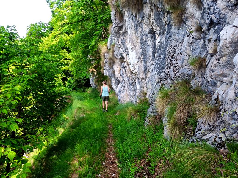 Foto: Wolfgang Lauschensky / Wandertour / Cima San Giorgio - Cima Palone - Tre Sorelle Runde / entlang der Kammfelsen der Cima Palot / 08.07.2025 15:55:45