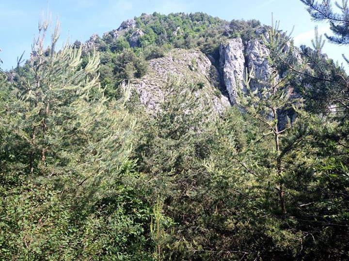 Foto: Wolfgang Lauschensky / Wandertour / Monte Censo / Gipfelflanke aus dem Mittelrücken / 08.07.2025 16:24:11
