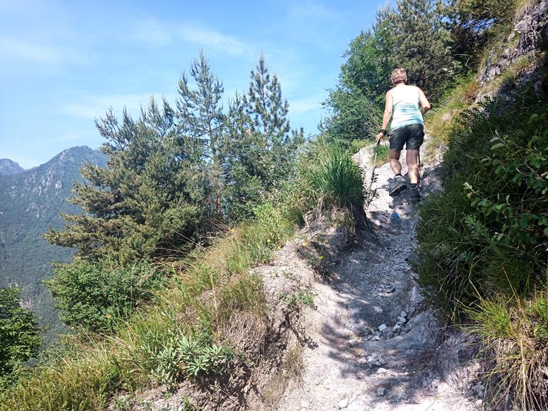 Foto: Wolfgang Lauschensky / Wandertour / Monte Censo / Bergsteig in der steilen Südflanke / 08.07.2025 16:24:06